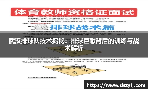 武汉排球队技术揭秘：排球巨献背后的训练与战术解析